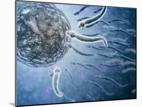 Microscopic View of Sperm Swimming Towards Egg-null-Mounted Art Print