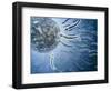 Microscopic View of Sperm Swimming Towards Egg-null-Framed Art Print