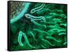 Microscopic View of Sperm Swimming Towards Egg-null-Framed Stretched Canvas