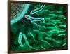 Microscopic View of Sperm Swimming Towards Egg-null-Framed Art Print