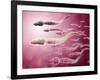 Microscopic View of Sperm Traveling Towards Egg-null-Framed Art Print