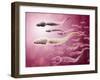 Microscopic View of Sperm Traveling Towards Egg-null-Framed Art Print