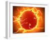 Microscopic View of Sperm Traveling Towards Embryo-Stocktrek Images-Framed Premium Photographic Print