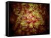 Microscopic View of Sperm-Stocktrek Images-Framed Stretched Canvas