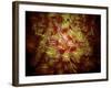 Microscopic View of Sperm-Stocktrek Images-Framed Photographic Print