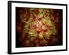 Microscopic View of Sperm-Stocktrek Images-Framed Photographic Print