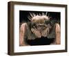 Microscopic View of Spider-Jim Zuckerman-Framed Photographic Print