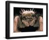 Microscopic View of Spider-Jim Zuckerman-Framed Photographic Print