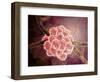 Microscopic View of Stachybotrys-null-Framed Art Print