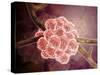 Microscopic View of Stachybotrys-null-Stretched Canvas