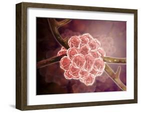 Microscopic View of Stachybotrys-null-Framed Art Print