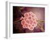 Microscopic View of Stachybotrys-null-Framed Art Print