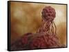 Microscopic View of Stem Cell Development-null-Framed Stretched Canvas