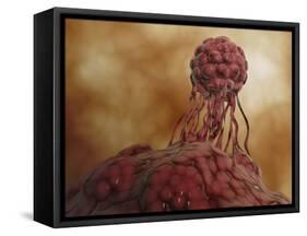 Microscopic View of Stem Cell Development-null-Framed Stretched Canvas