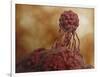 Microscopic View of Stem Cell Development-null-Framed Art Print