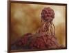 Microscopic View of Stem Cell Development-null-Framed Art Print