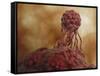 Microscopic View of Stem Cell Development-null-Framed Stretched Canvas