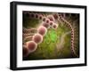 Microscopic View of Streptococcus Pneumoniae-Stocktrek Images-Framed Photographic Print