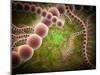 Microscopic View of Streptococcus Pneumoniae-Stocktrek Images-Mounted Photographic Print