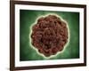 Microscopic View of the Capsid Protein of Nudaurelia Capensis Omega Virus-null-Framed Art Print