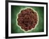 Microscopic View of the Capsid Protein of Nudaurelia Capensis Omega Virus-null-Framed Art Print