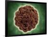 Microscopic View of the Capsid Protein of Nudaurelia Capensis Omega Virus-null-Framed Art Print