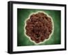 Microscopic View of the Capsid Protein of Nudaurelia Capensis Omega Virus-null-Framed Art Print