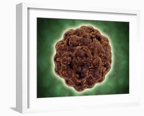 Microscopic View of the Capsid Protein of Nudaurelia Capensis Omega Virus-null-Framed Art Print