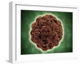 Microscopic View of the Capsid Protein of Nudaurelia Capensis Omega Virus-null-Framed Art Print