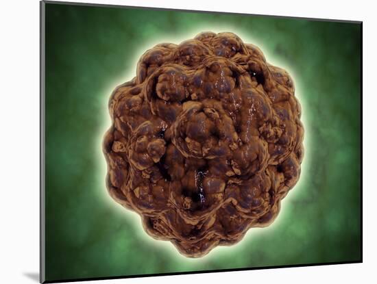 Microscopic View of the Capsid Protein of Nudaurelia Capensis Omega Virus-null-Mounted Art Print