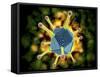 Microscopic View of the Common Cold Virus-null-Framed Stretched Canvas