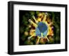 Microscopic View of the Common Cold Virus-null-Framed Art Print