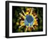 Microscopic View of the Common Cold Virus-null-Framed Art Print