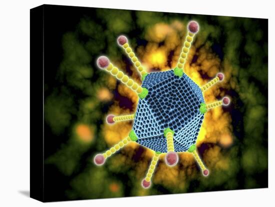 Microscopic View of the Common Cold Virus-null-Stretched Canvas