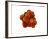 Microscopic View of Tumor-null-Framed Art Print