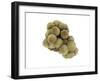 Microscopic View of Tumor-null-Framed Art Print