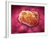 Microscopic View of Tumor-null-Framed Art Print