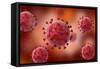 Microscopic View of Virus-null-Framed Stretched Canvas
