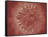 Microscopic View of Yellow Fever Virus-null-Framed Stretched Canvas