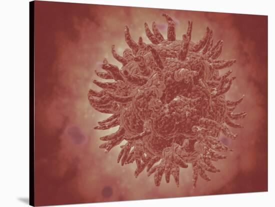 Microscopic View of Yellow Fever Virus-null-Stretched Canvas