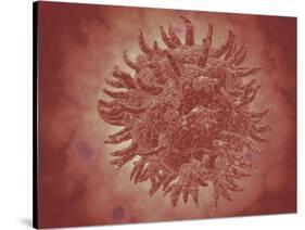 Microscopic View of Yellow Fever Virus-null-Stretched Canvas
