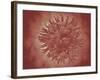 Microscopic View of Yellow Fever Virus-null-Framed Art Print