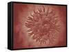 Microscopic View of Yellow Fever Virus-null-Framed Stretched Canvas