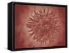 Microscopic View of Yellow Fever Virus-null-Framed Stretched Canvas