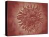 Microscopic View of Yellow Fever Virus-null-Stretched Canvas