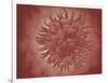 Microscopic View of Yellow Fever Virus-null-Framed Art Print