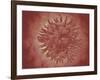 Microscopic View of Yellow Fever Virus-null-Framed Art Print