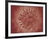 Microscopic View of Yellow Fever Virus-null-Framed Art Print