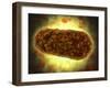 Microscopic View of Yersinia-null-Framed Art Print