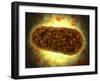 Microscopic View of Yersinia-null-Framed Art Print